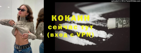 молекула духа Сосновка