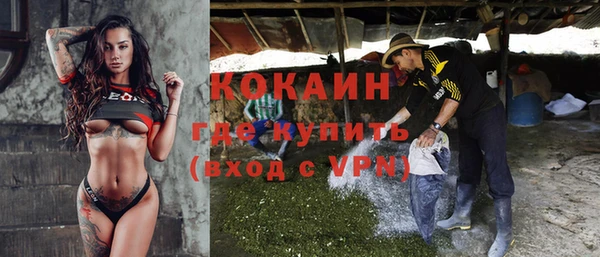 бошки Белокуриха