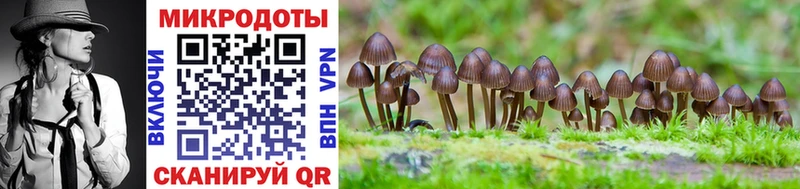 Псилоцибиновые грибы мухоморы  купить наркоту  Курильск 